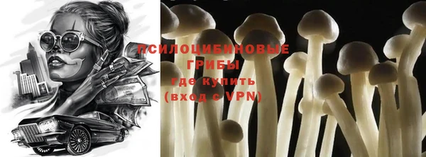 гидра Богородицк