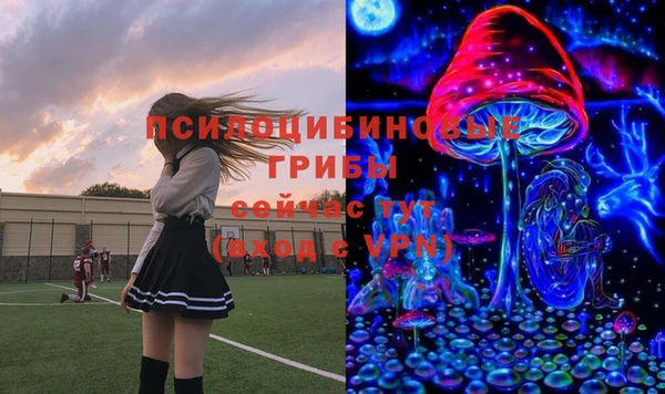 не бодяженный Богданович