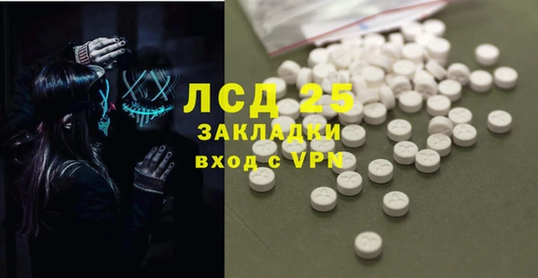 гидра Богородицк