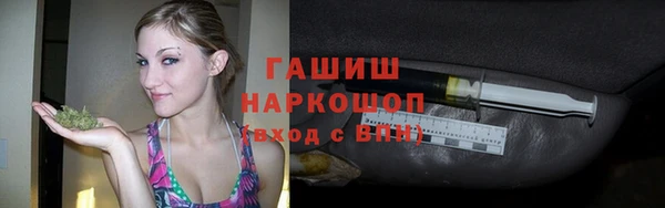 гидра Богородицк