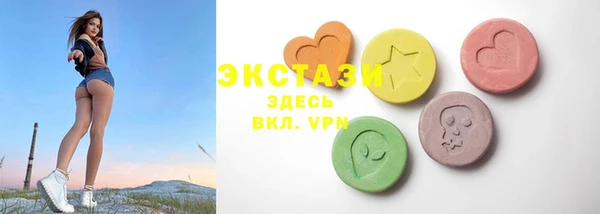 гидра Богородицк