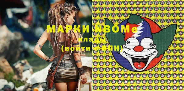 гидра Богородицк