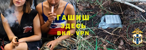 гидра Богородицк