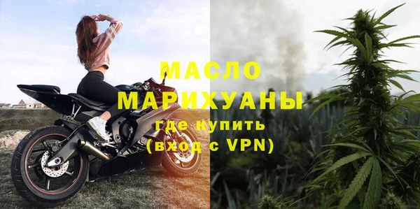 гидра Богородицк