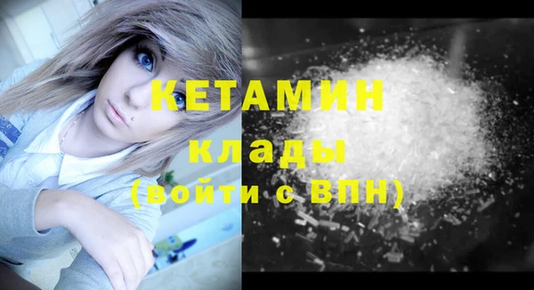 гидра Богородицк