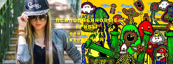 не бодяженный Богданович